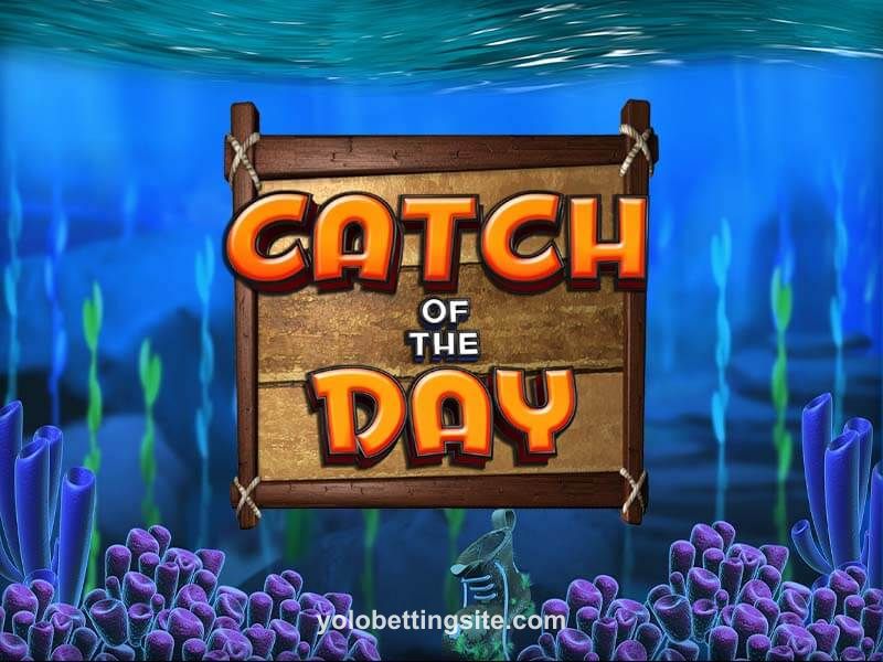 Catch of the Day Game Image