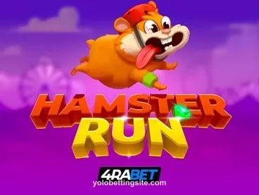 Hamster Run Game Image