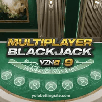 Blackjack VZN 9 Game Image