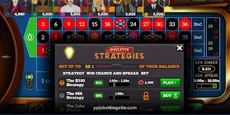 User Profile Dashboard